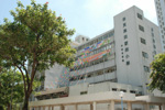保良局田家炳小學的校舍相片-374 保良局田家炳小學的校舍相片
